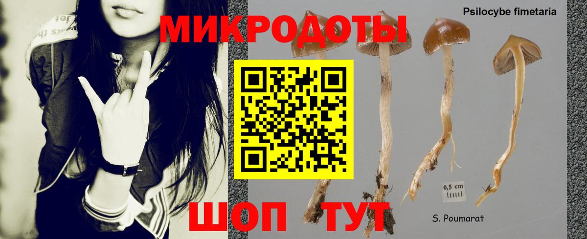 Галлюциногенные грибы Cubensis Тихвин